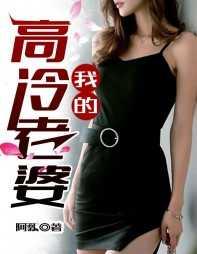 我的高冷老婆全文阅读
