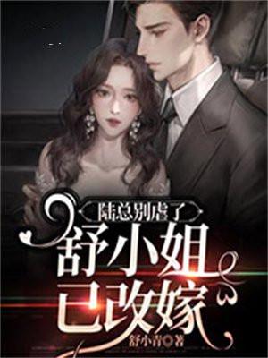陆总苏小姐