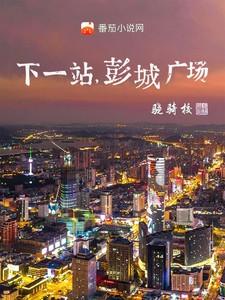 下一站彭城广场