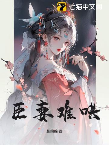臣妻pan