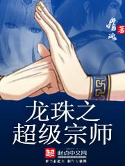 龙珠之超级宗师书评