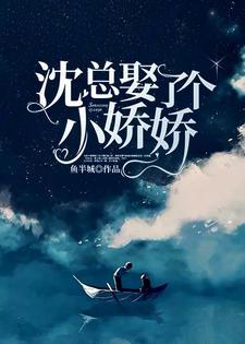 沈总娶了个小娇娇讲些啥