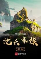 沈氏家族崛起最新章节