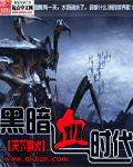 黑暗血时代精校版TXT
