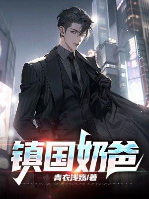 镇国奶爸 超级奶爸