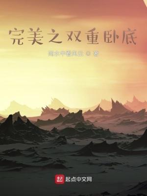 完美之双重卧底全本