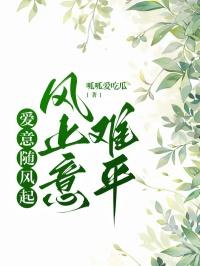 爱意随风起风止意难平怎么回