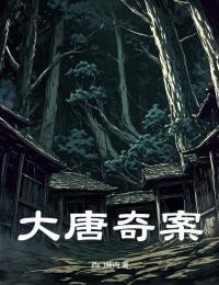 大唐奇案录电视剧
