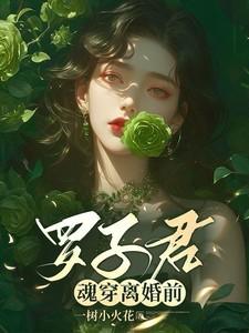罗子君魂穿离婚前全文