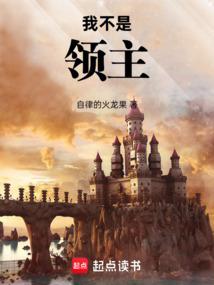 我不是领主笔趣阁无弹窗