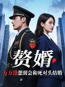 赘婿和女主
