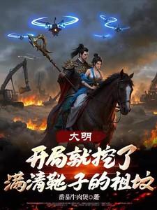 大明开局灭了满清第八区