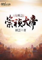 大明朝之崇祯 大帝
