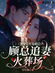 替身甜妻顾西城第二部