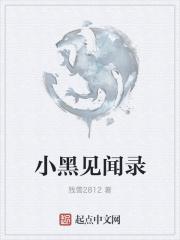 小黑 探