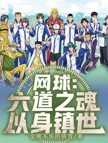 网球6-6