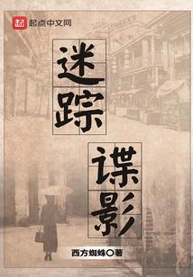 迷踪谍影 结局