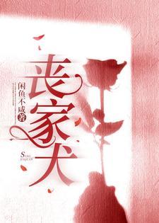 丧家犬孔子