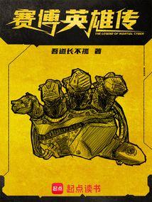 赛博英雄传TXT精校