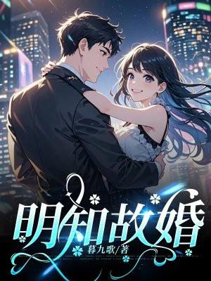 明知故婚番外篇全文免费阅读