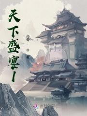 天下宴t6