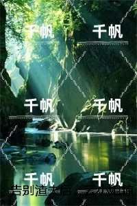 女主叫云晚晚的总裁