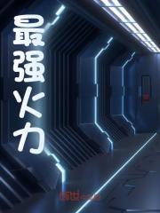 最强火力TXT