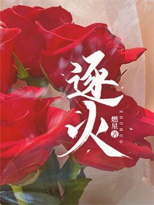 逐火十三英桀刻印图片