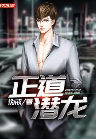 伪戒三部曲的顺序哪部开始看