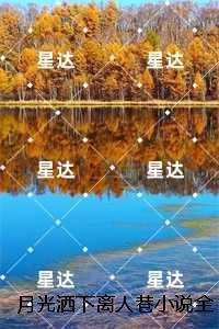 月光洒在是哪首歌里的歌词