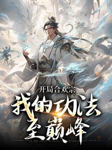 我的功法至巅峰怀念