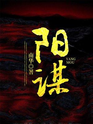 十大阳谋