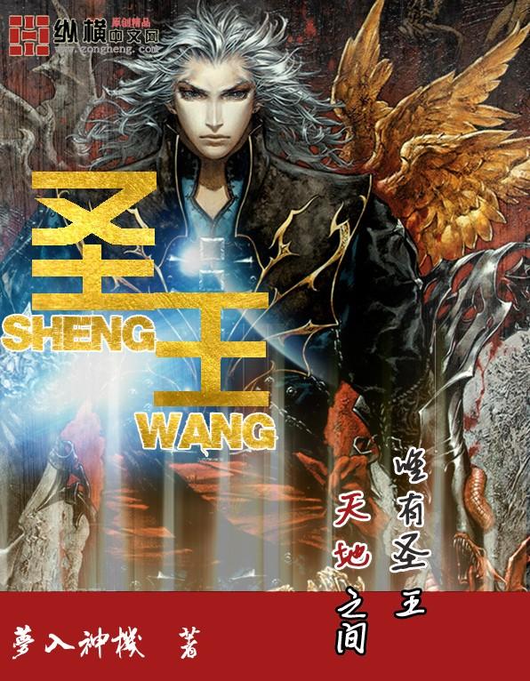 圣王境界等级划分