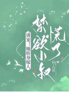 宁晚霍君赫免费阅读